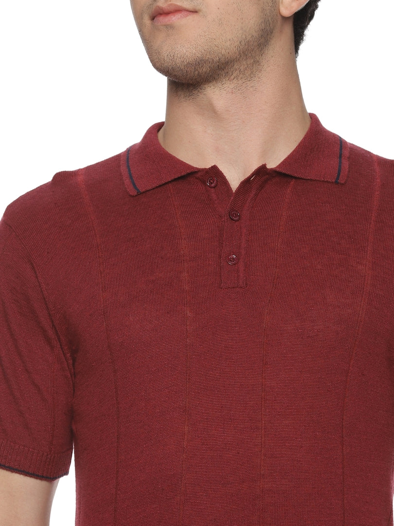 Linen Rich Knit Polo Burnt Maroon T-Shirt
