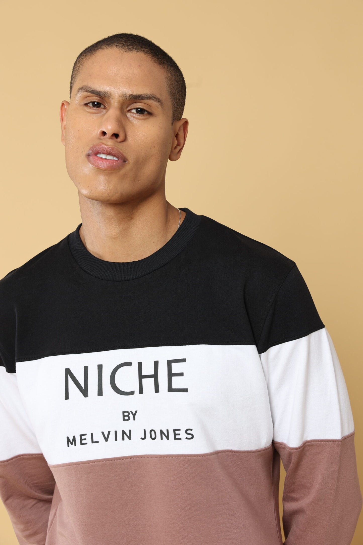 Niche From Carbon To Brown Sweatshirt